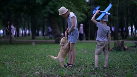 Little boy with plane and girl play with cute poodle dog outdoors in park