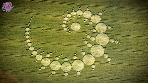 10 Amazing Crop Circles