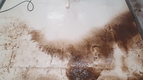 Washing a carpet with a floral pattern. Speeded Up | oddly satistying | power washing