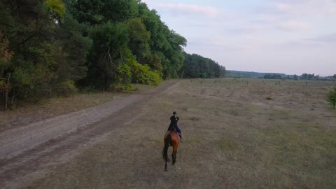 View from the height of woman riding a brown horse by gallop outdoors