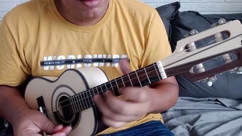 Cavaquinho Constantino Luthier (Meio a Meio)