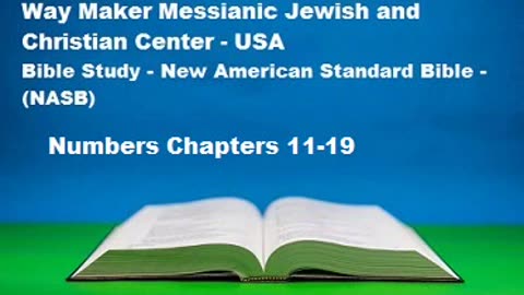 Bible Study - New American Standard Bible - NASB - Numbers 11-19