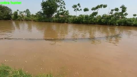 Chicken was swallowed by a giant snake when a young man fished