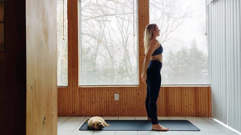 easy yoga - 15 minutes everyday
