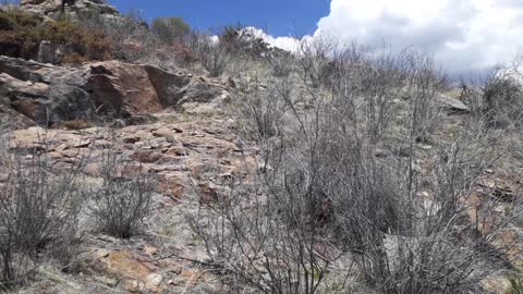 Bates Hill overlooking The Gregory Gulch gold discovery