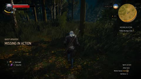 Witcher 3 - Missing In Action Quest Walkthrough