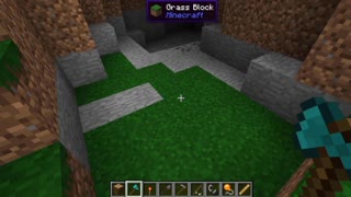 Minecraft vanilla skin version 1.17.1_Shorts_32