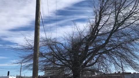 6 months of Chemtrails compilation in VA, Dec 2018- May 2019.
