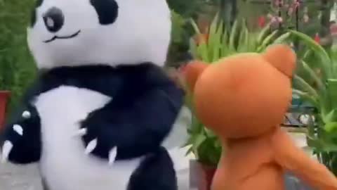 Funny panda video