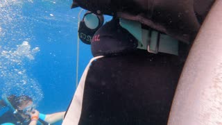 RCI Wonder of the Seas - Scuba Diving ST Thomas 2022 - Buck Island
