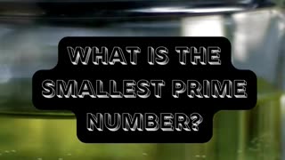 What is the smallest prime number?