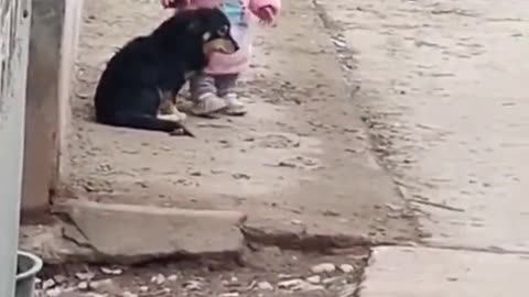 Kid comforts puppy during fireworks by covering its ears