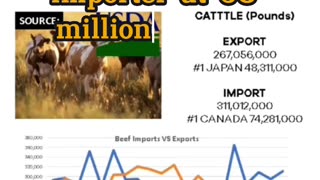 Beef imports and exports