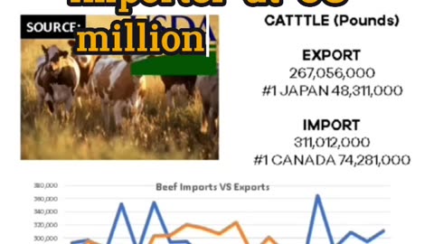 Beef imports and exports