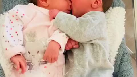 Twin baby boy kisses his lovely twin brother