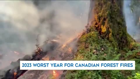 Is this the new normal? 2023 is Canada's worst wildfire year ever