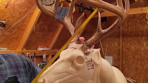 How to Mount Deer Antlers "In the Ballpark"Everytime