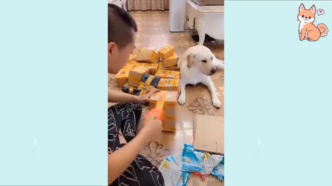 Funny Dog video || Dog video || funny videos|| funny videos 2021||