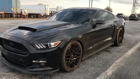 FORD MUSTANG WITH WHIPPLE SUPERCHARGER ENDS UP AT ATLANTA EAST AUTO AUCTION!