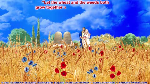 AmightyWind.com Beautiful Interactive Omer Countdown to Shavuot/Pentecost 2021 --Mirror