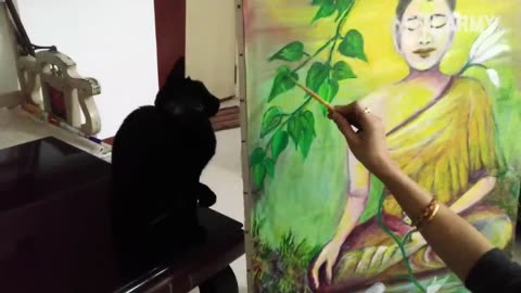 Funny Cat Fails😆