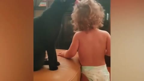 Funny Babies 👶 and funny cats 🐱 playing together 🤣 NEW funny Animals compilation,TRY NOT TO LAUGH