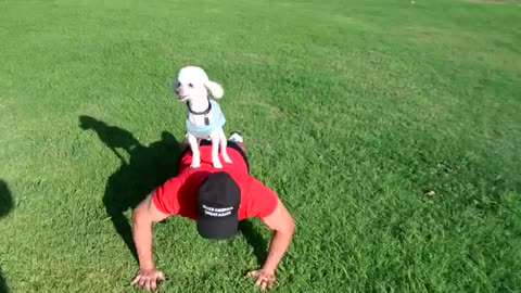 CRAZY TRUMP FAN WORKS OUT IN THE PARK WITH HIS DOG