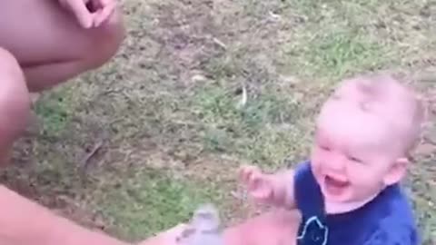 babies can't stop laughing. so cute