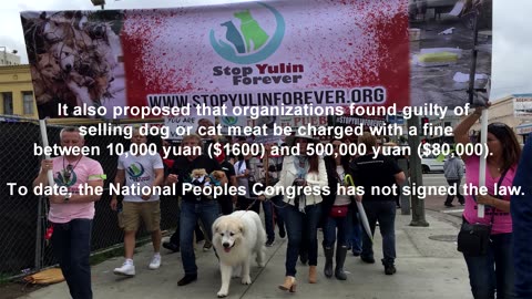 5 Horific facts about Yulin's dog eating festival