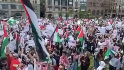 In need of this one my feed.Protest from a couple of months ago in Chicago🇪🇭🇵🇸