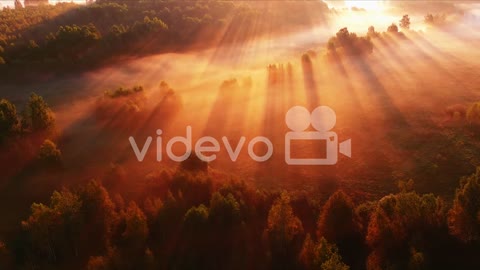 Bird's eye view of colorful orange sunrise on valley with trees covered with fog