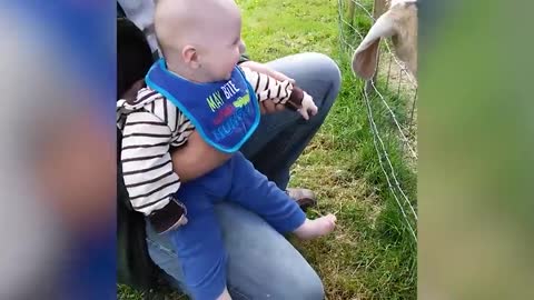 Battle Of Funny Baby vs Animals - TRY NOT TO LAUGH