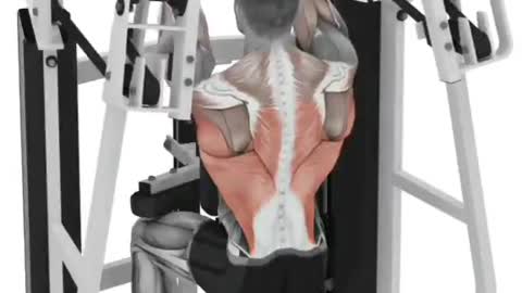 Best Back Workouts For Men And Women
