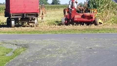 Corn Harvest Coordination