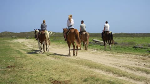 Tourists Ride Horses Across Texas Ranch