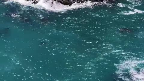 Have you ever seen a waterfall meet the sea?