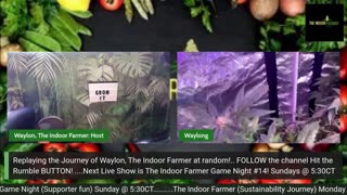 Mcabee's Live Market: Presented by Waylon, The Indoor Farmer. Veteran Popularizing Sustainability