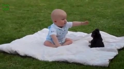 baby playing with rottweiler puppy