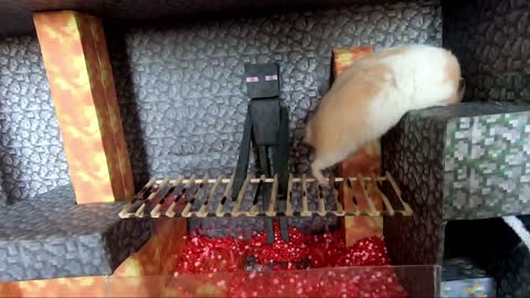 Minecraft Hamster Homa channel trailer