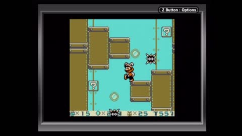 Super Mario Land 2: 6 Golden Coins No-Death Playthrough (Game Boy Player Capture) - Turtle Zone