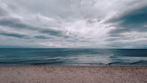 Seagulls And Waves