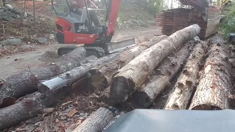 Grabbing Log with My Excavator
