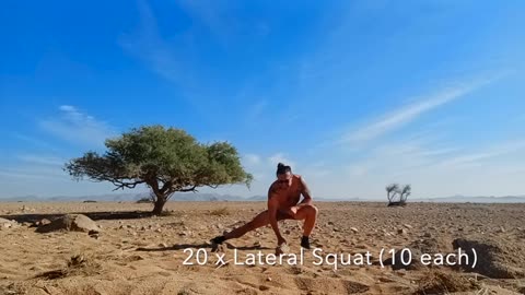 6x20 Desert Workout (Equipment: two rocks - use any light weight object)