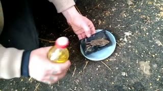 Glue Traps Are EVIL! How To Free A Stuck Mouse