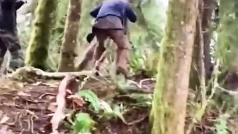 Hilarious Moment Part: How to Cut a Tree Super Funny 😂😂😂