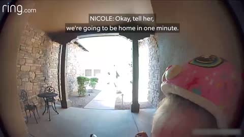 Taylor Talks to Her Neighbor On Ring Video Doorbell After Running Away From a Bobcat