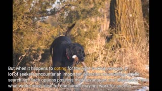 Some Ideas on "Hunting with Dogs: Tips and Techniques for a Successful Hunt" You Should Know