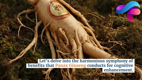 Unveiling Panax Ginseng: Nootropic Marvel of the Ages