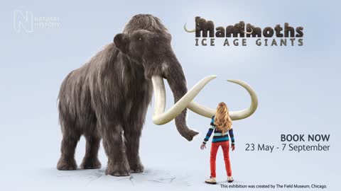 Mammoths_ Ice Age Giants - the preview _ Natural History Museum