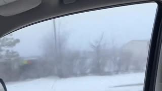 Footage shows the line last month for a food bank in Harrison, Michigan